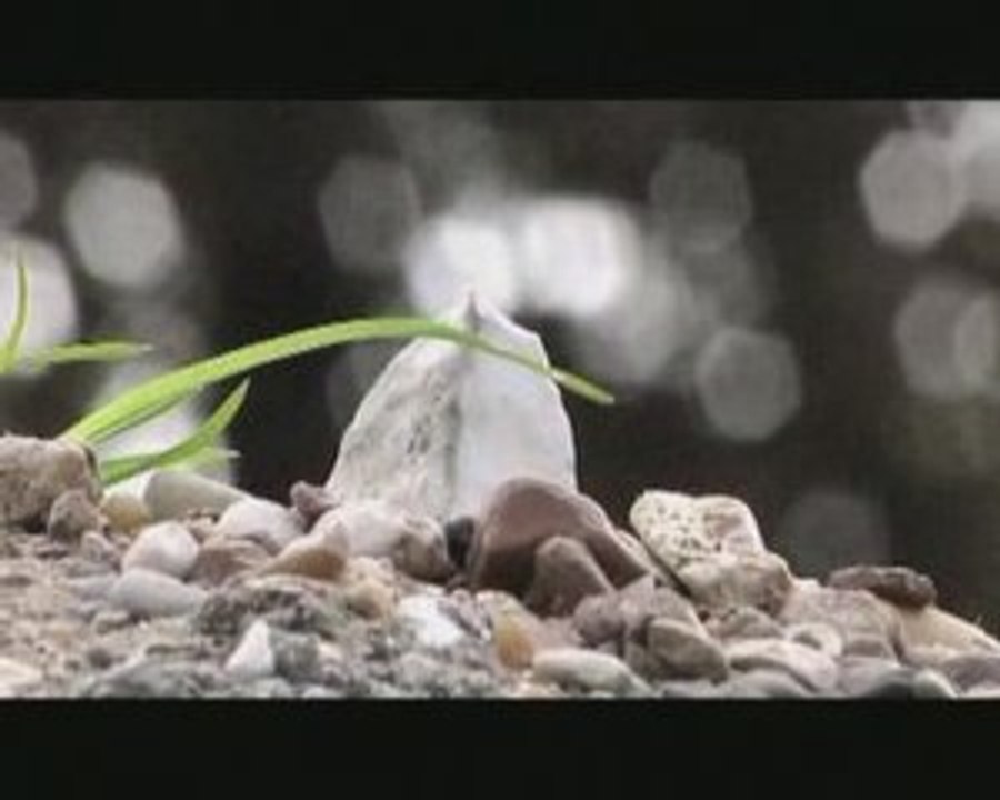 L'EPOPEE DES CAILLOUX