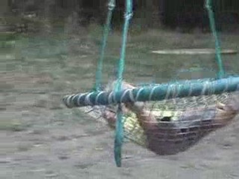 2009-08-23-Le bois des lutins-7-Jules dans le panier!