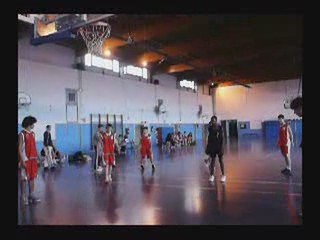 année 2008-2009 ALPB