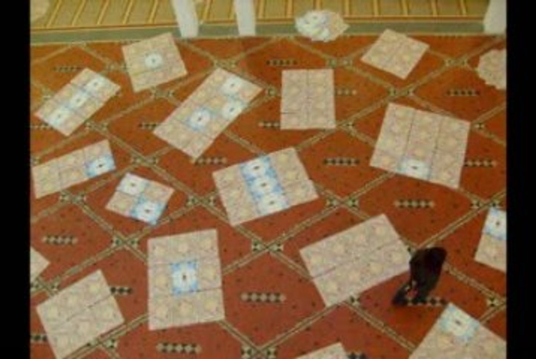 Tapis volant, 16 mai 2009