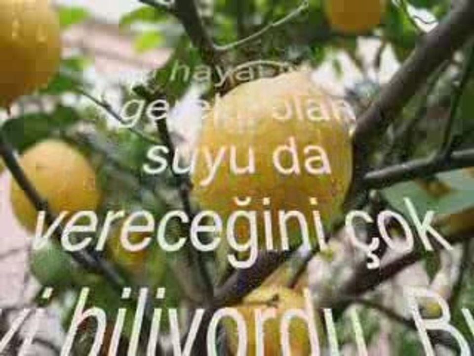 gazetebeyazbebek@hotmail.com
