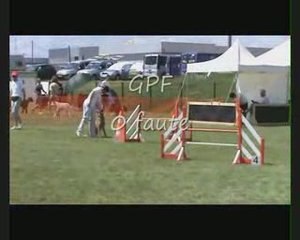 Concours agility Chartres 2009