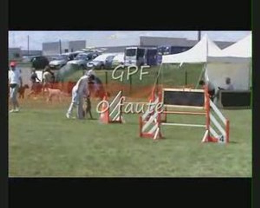 Concours agility Chartres 2009