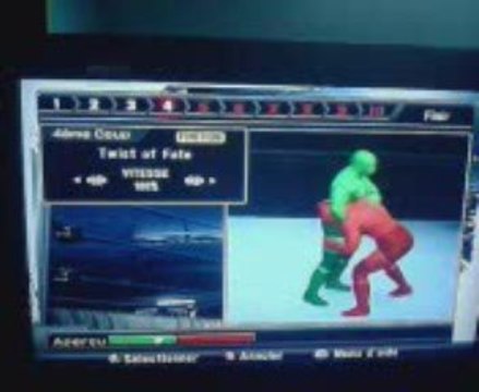 Jeff Hardy Finisher - Create a Finisher SvR 2009