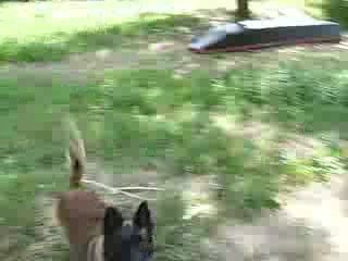 tirexberger belge tervueren