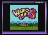 ingame Wario Land 3