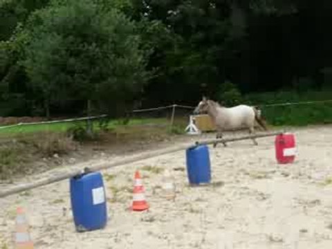 Tikal: premiers sauts en liberté