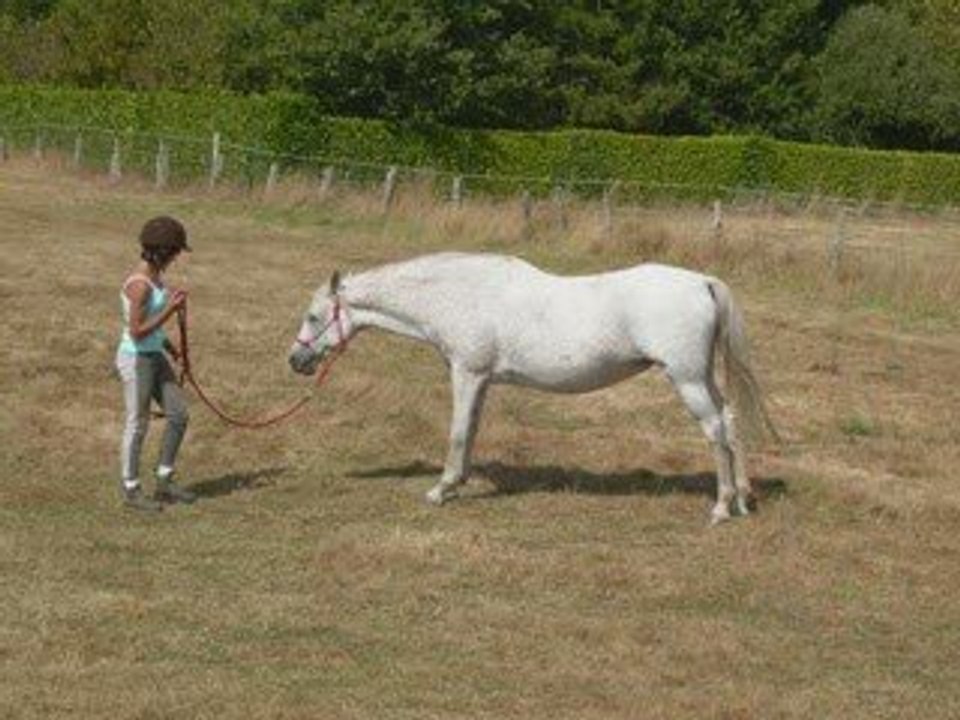 Balade du 28 août, à 4.