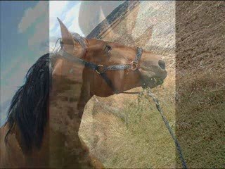 29 août - Promenade au soleil