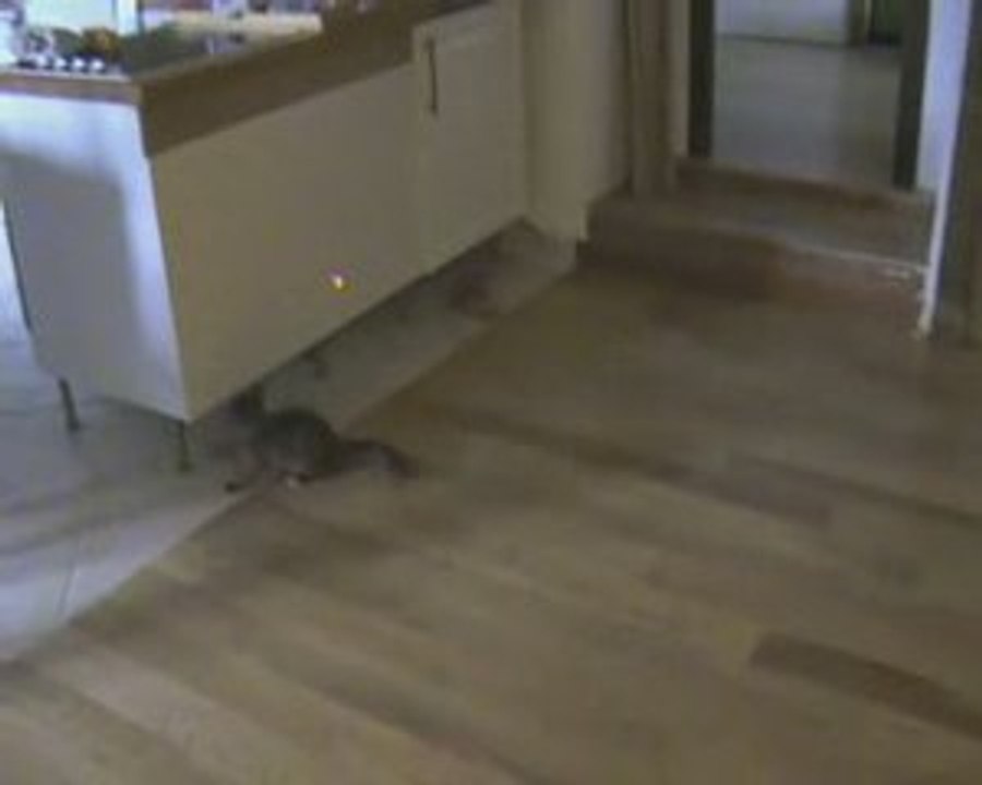 dely_laser_090829