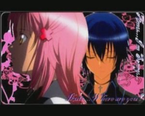 Amuto [Amu+Ikuto] notre histoire d'amour