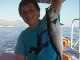 FINDING NEMO BOAT MARMARIS ICMELER FISHING TRIP BOAT TRIPS