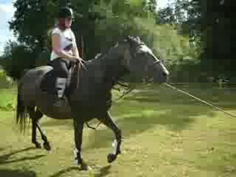 moi et kaline