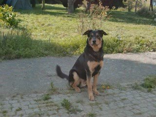 Vacances de reves avec mon boudin et Son boudin !=D