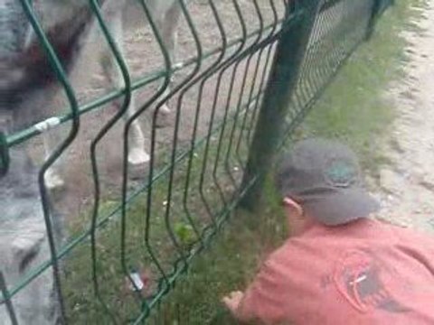 Vidéo 21 Août 2009 - Anes et Lucas