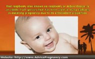 Pregnancy Miracle - Natural Female Infertility Treatment