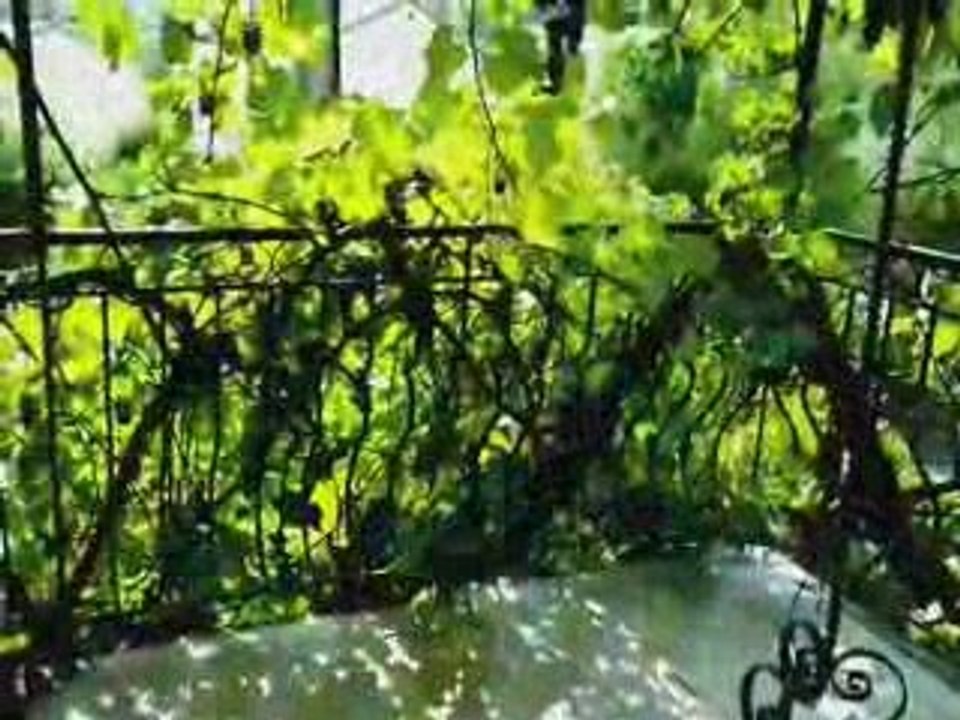 Annot Alpes de Haute Provence