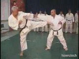 Karate – Punches, Strikes, Kicks, Moves, and Techniques