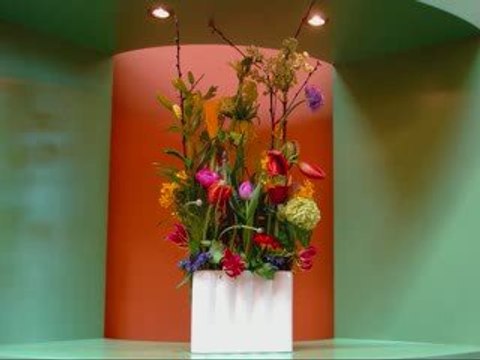 toutes les images que j'aime avec une magnifique chanson