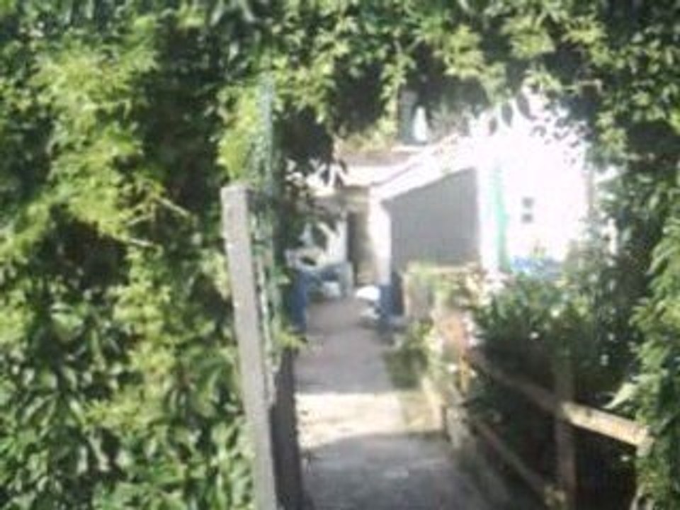 mon jardin