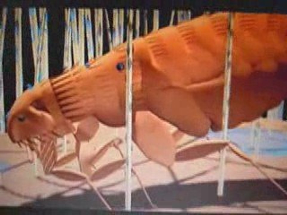 Rothschild, les puces et la peste !