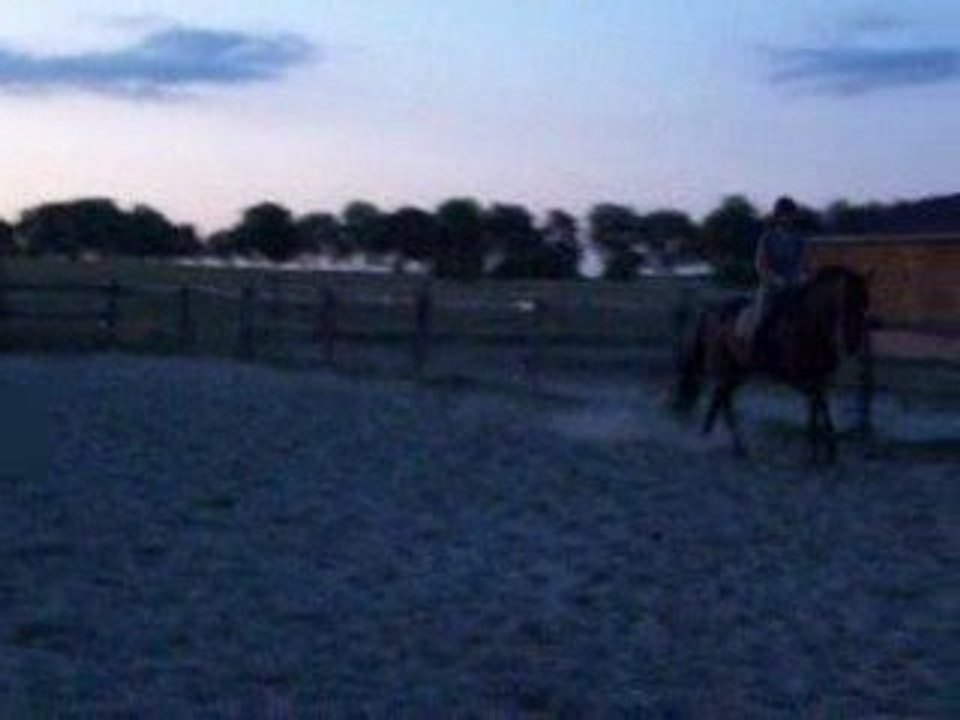 quixia au galop un soir d'été