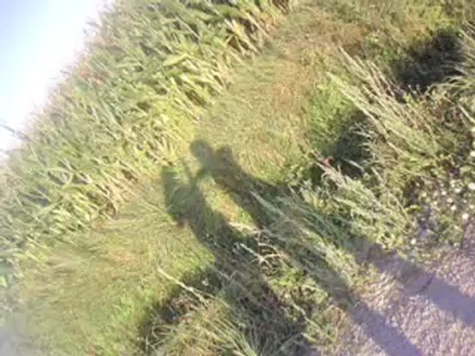 V270809_19.35