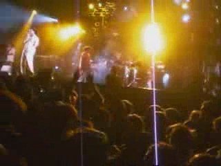 concert dub inc woodstower