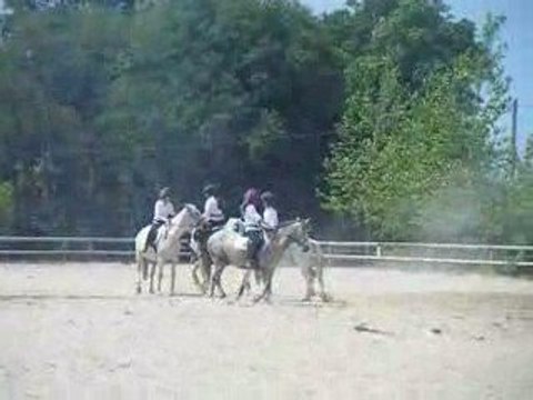 Carrousel Chevaux 29/06/09