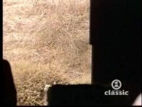 M Jackson & P Mc Cartney - Say say say