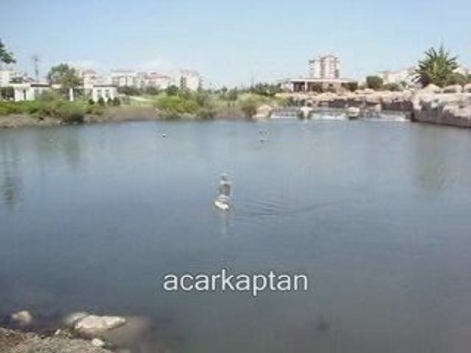 UÇAK KANATLI YELKEN