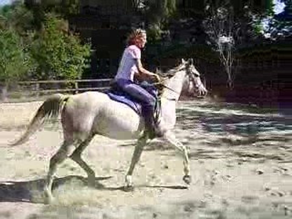 1er saut nihrcos