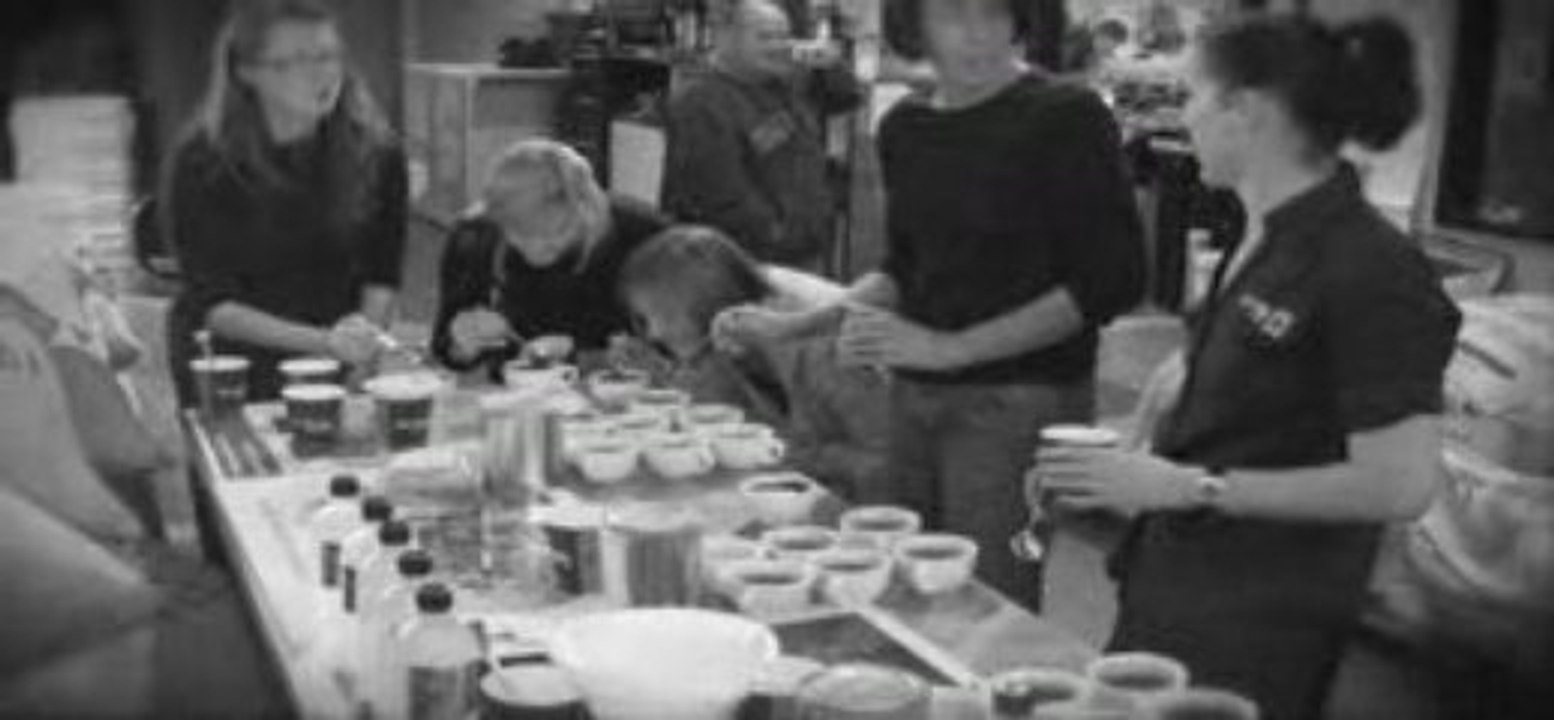 Di Bella Coffee - Cupping Sessions