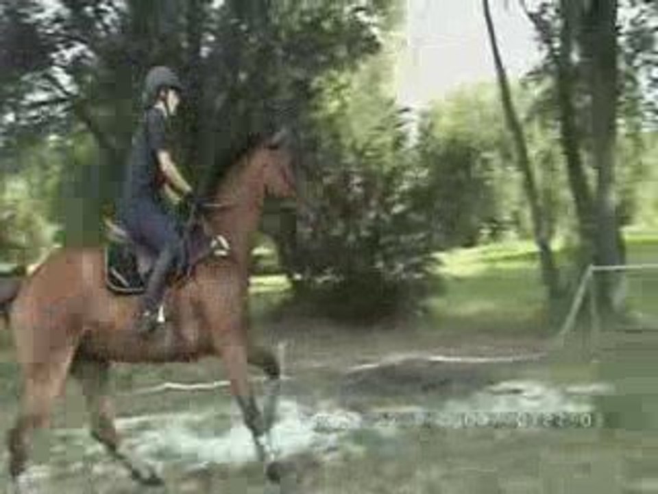 27072009 cross groupe 1