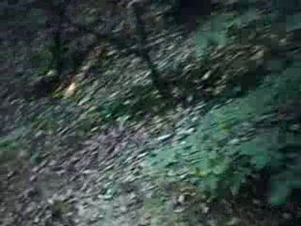 95 boys , vtt , le 30.08.09