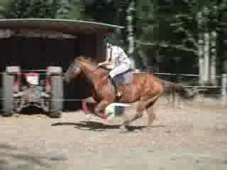 SDC13495
