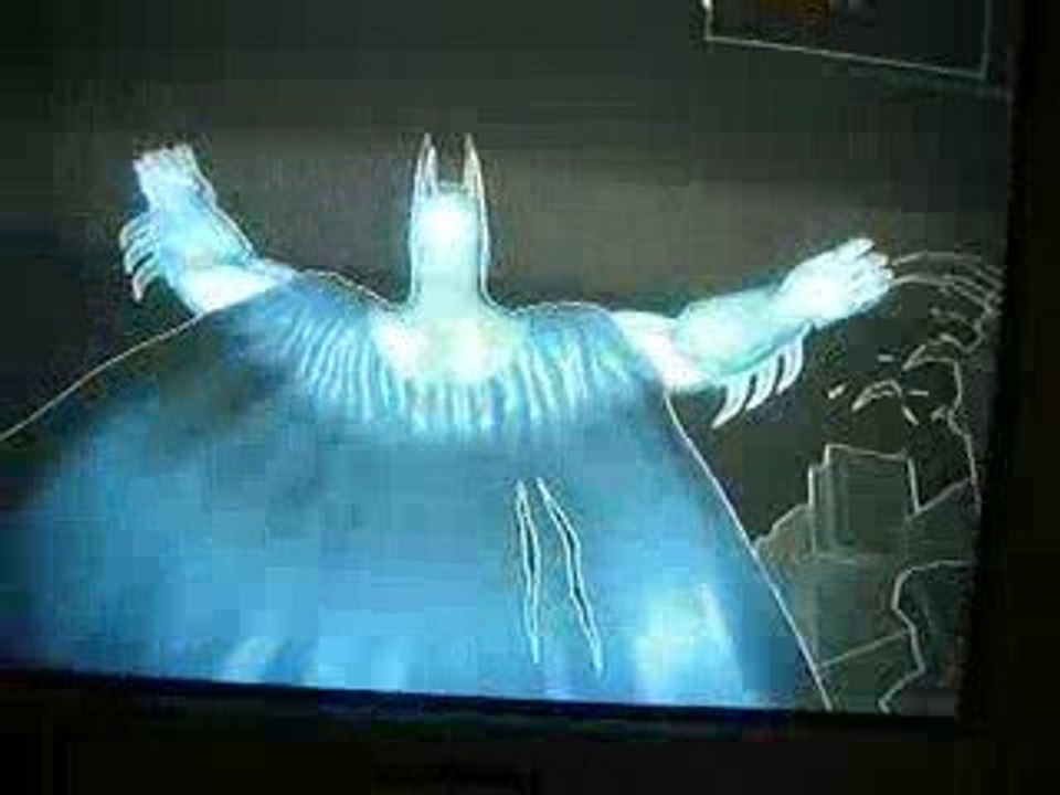 Batman Arkham Asylum Bug