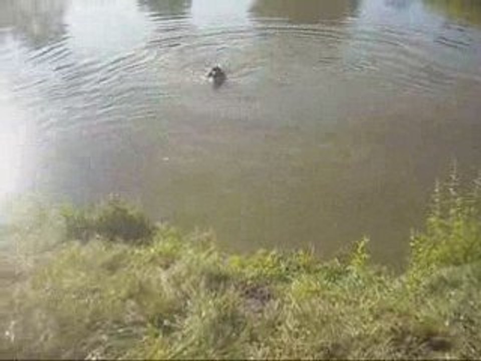Ever a l'eau 2