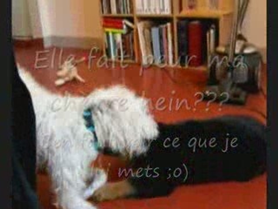 3° épisode d'Euskadia