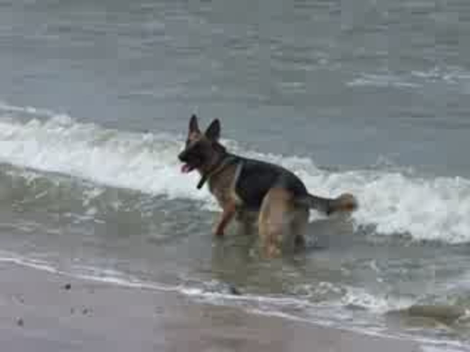 la mer 1ere zaza 040