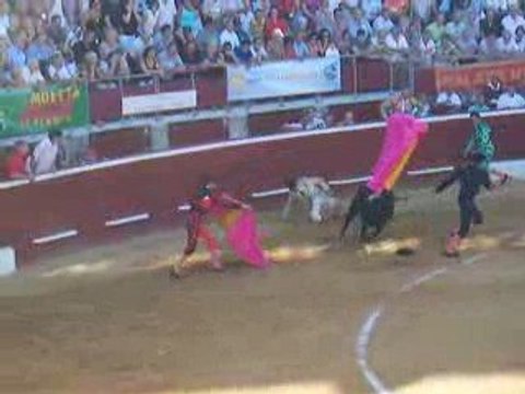 Juan del Alamo novillada St Perdon au Plumaçon 30 août 2009