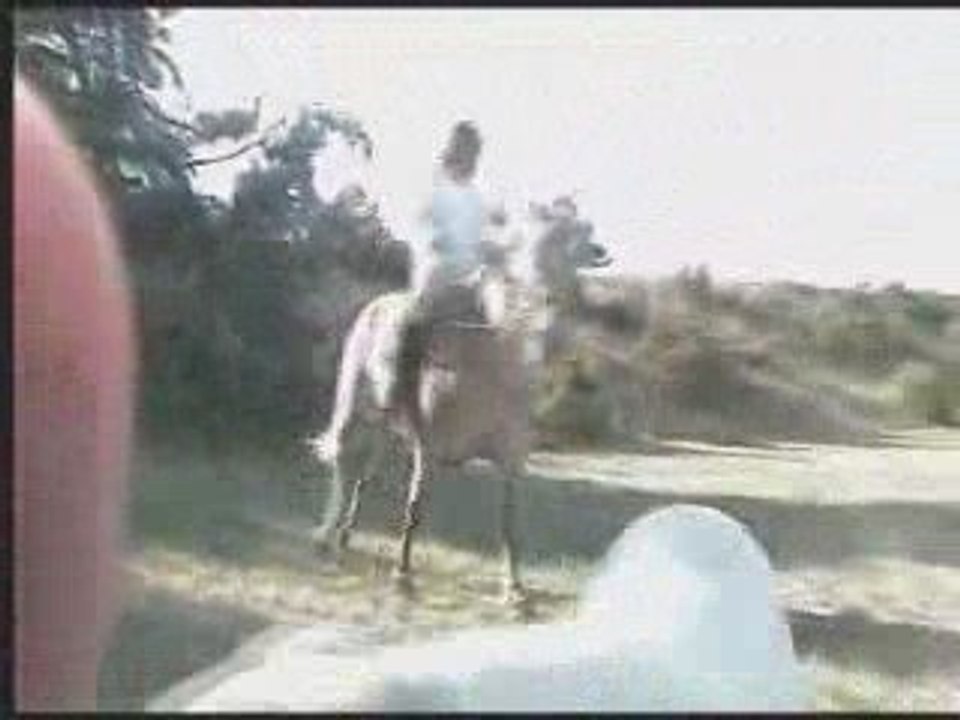 séance de plat et de petits sauts avec Elisa (30/08/09)