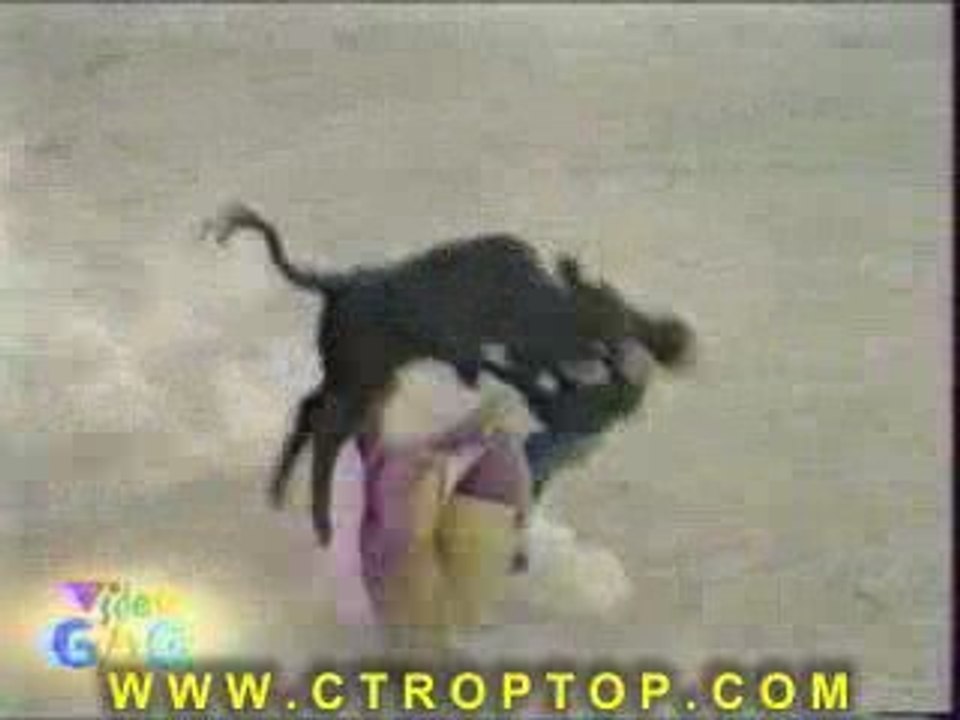 Régis à la corrida. XD