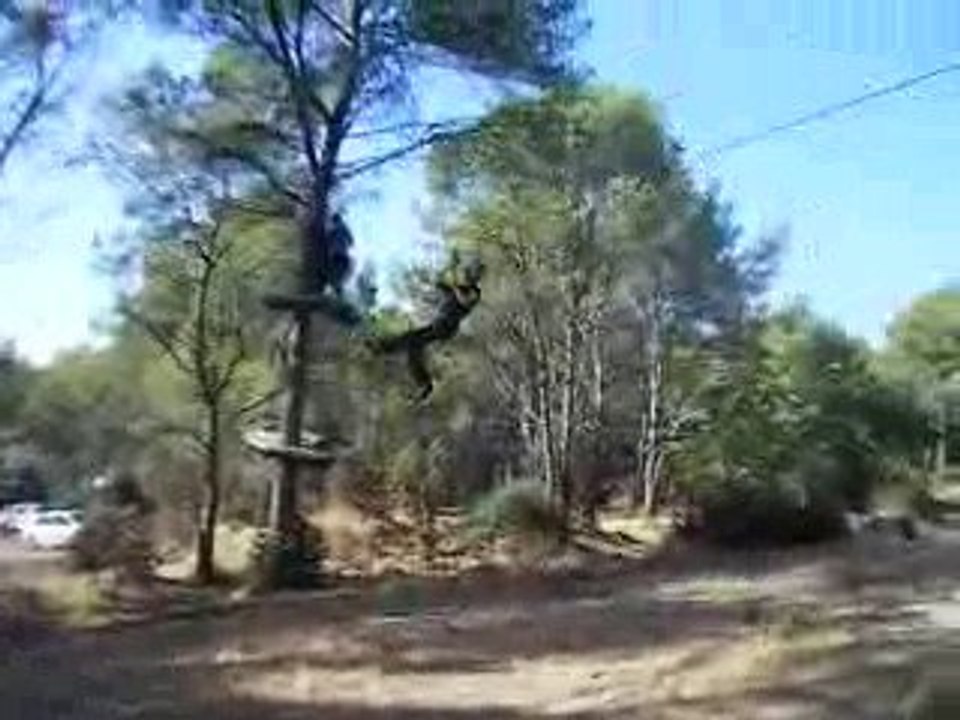 accrobranche 1
