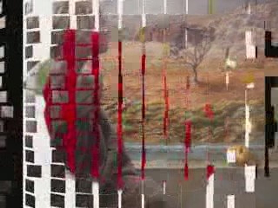 نبيل شعيل: ما أروعــــك