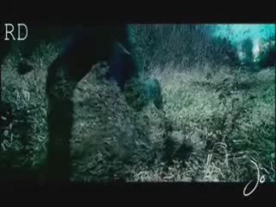 New moon trailer (fanmade)