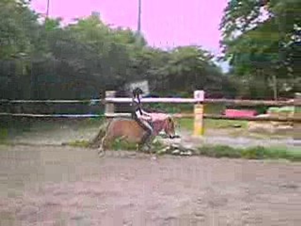 amé4