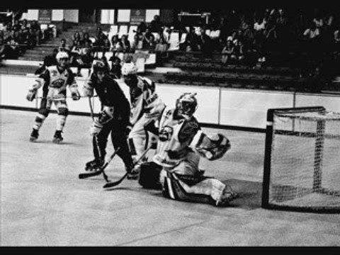 Finale Coupe de France Roller-Hockey 2009 photomontage