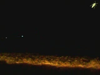 VERANO 2009.  UN VERANO MAS, UNO MENOS.