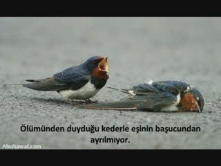 bazı insanlar hâlâ bır degısım beklıyor.....